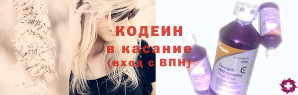 ECSTASY Няндома