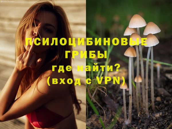 мяу мяу кристалл Осинники