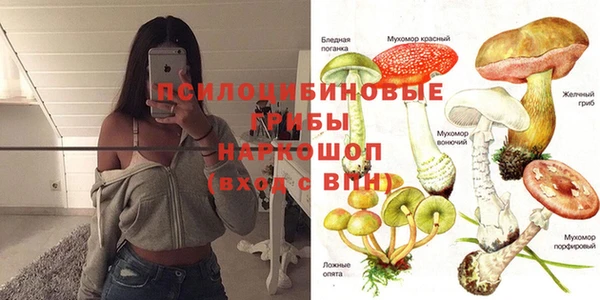 сатива Остров